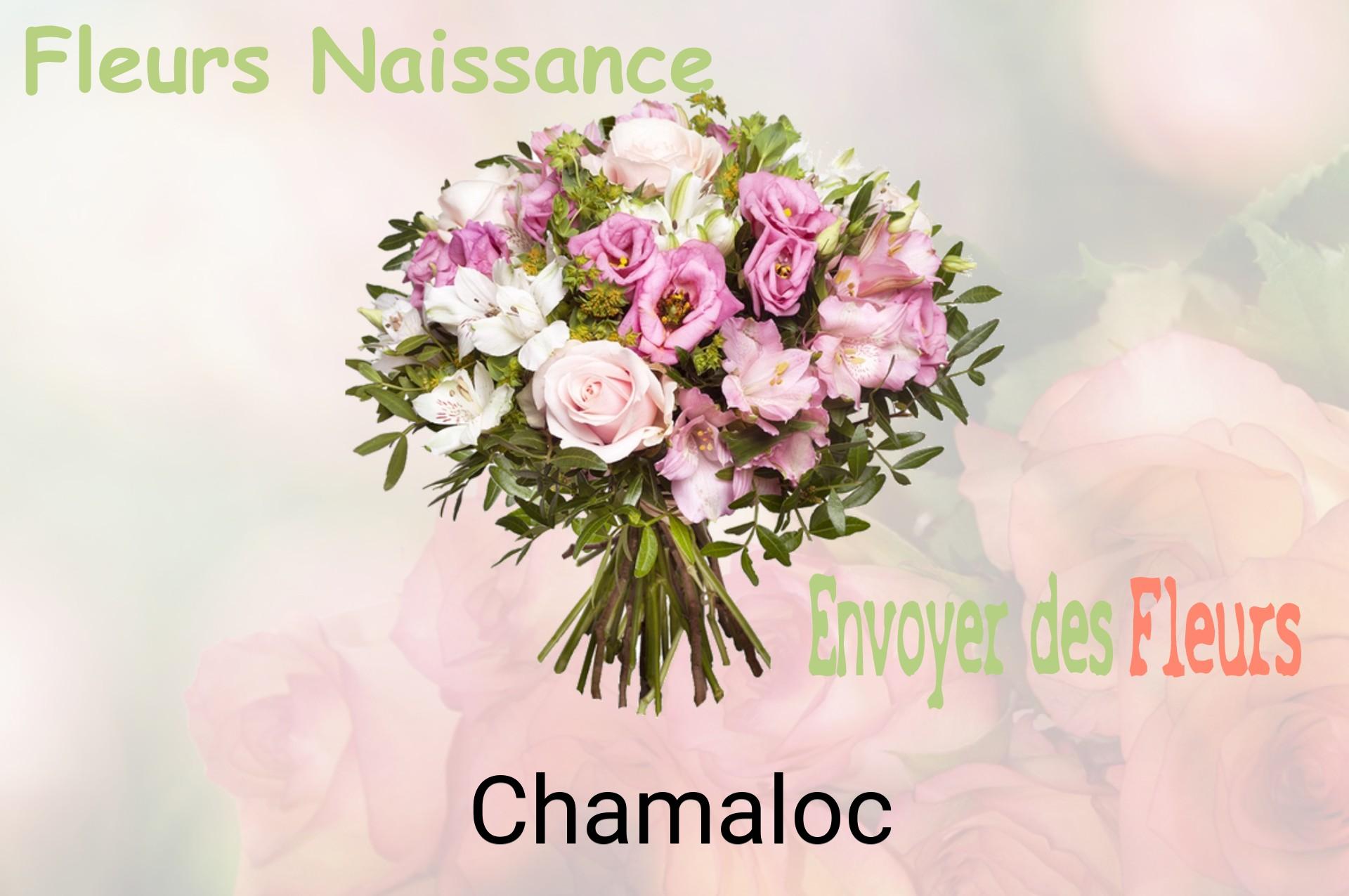 Bouquet de fleurs de naissance livré à Chamaloc