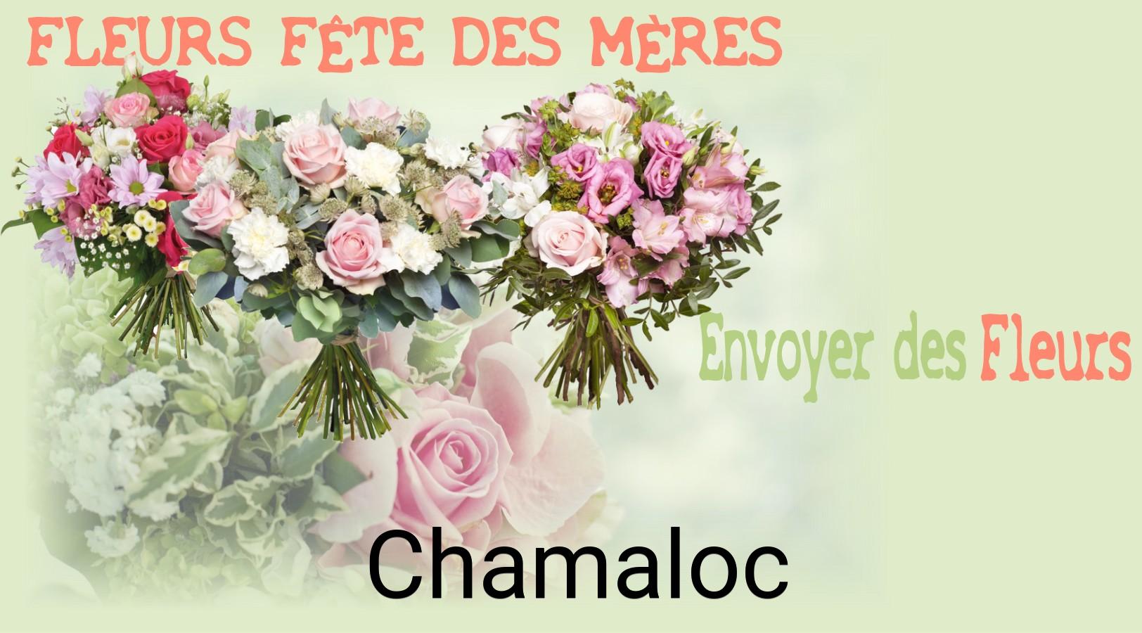 Bouquet de Fête des Mères livré à Chamaloc
